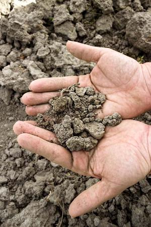 Tierra seca
