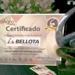 Premio VisãoAgro de Brasil 2015